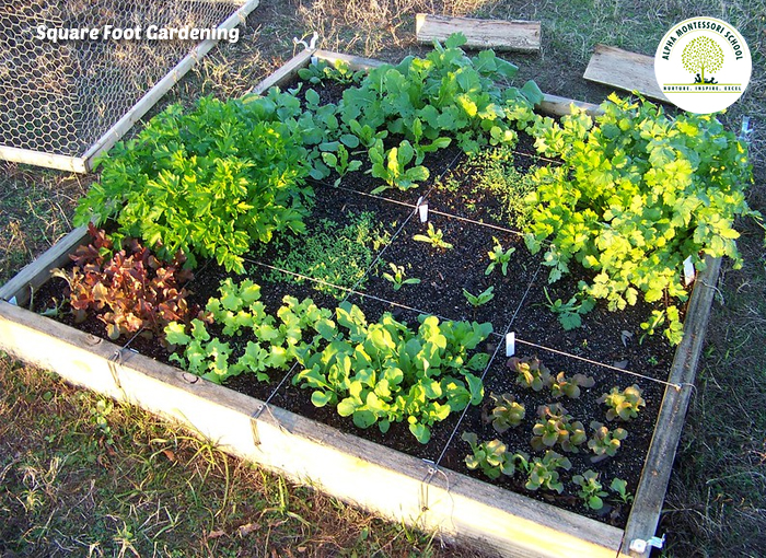 Square Foot Gardening Planting Guide | Montessori Outdoors - Alpha Montessori School